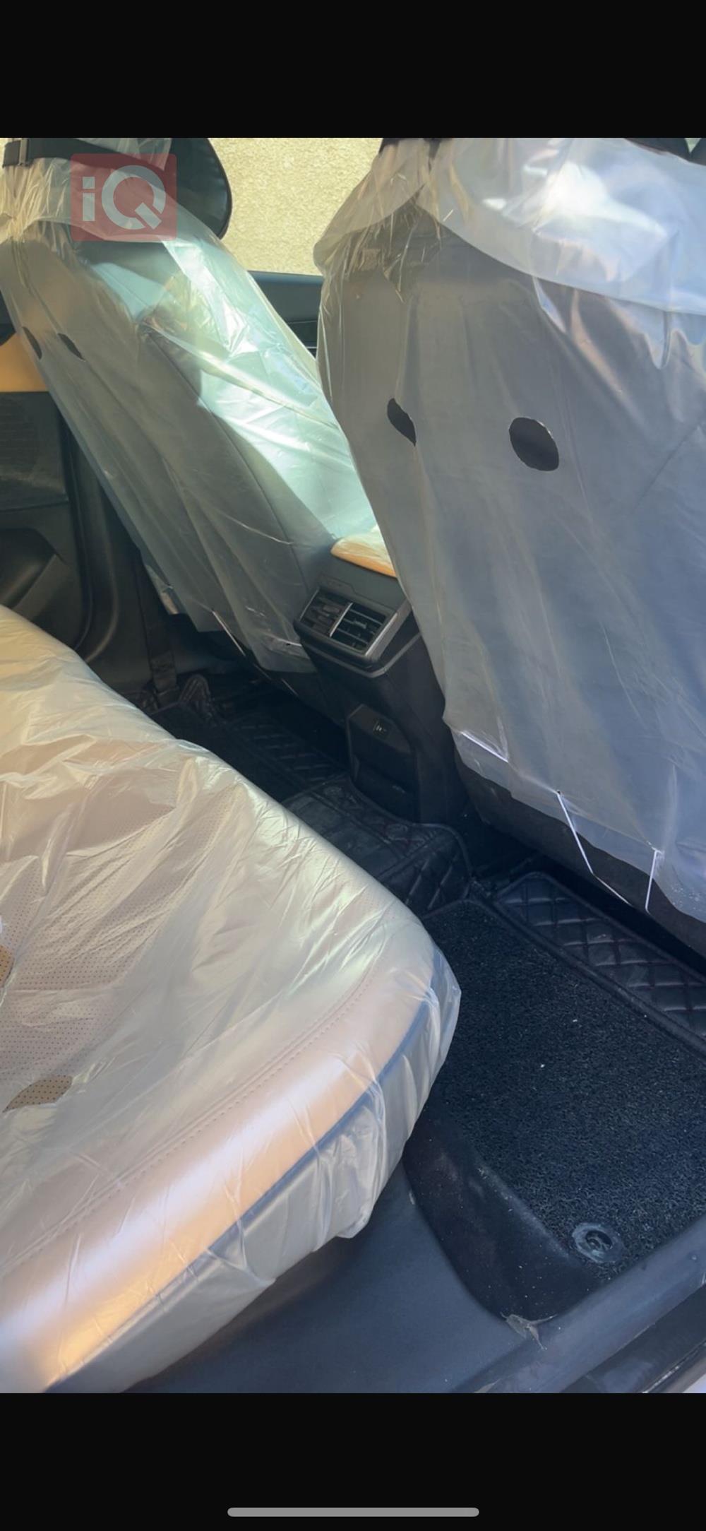 شانجان يوني في